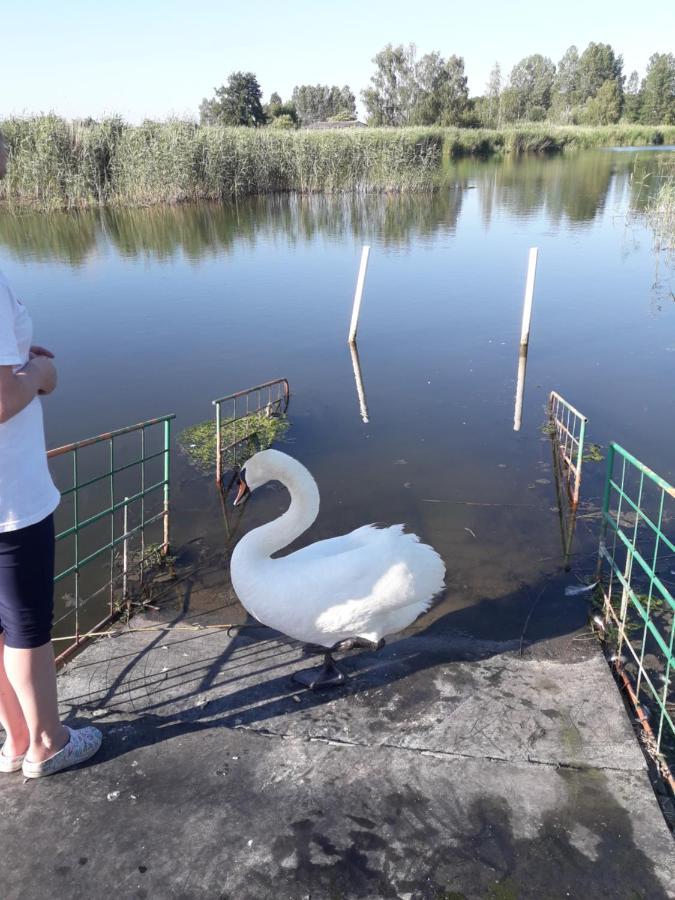 U Wikinga Hotell Zastan Exteriör bild